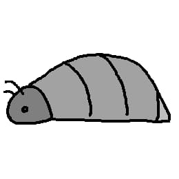 きのあ将棋サザルオ